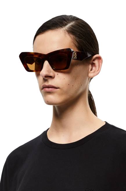 Brown Havana Cateye sunglasses in acetate Loewe 84PR1480 Women
