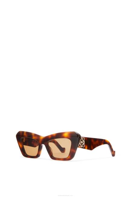 Brown Havana Cateye sunglasses in acetate Loewe 84PR1480 Women