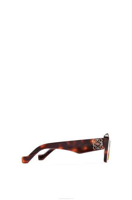 Brown Havana Cateye sunglasses in acetate Loewe 84PR1480 Women