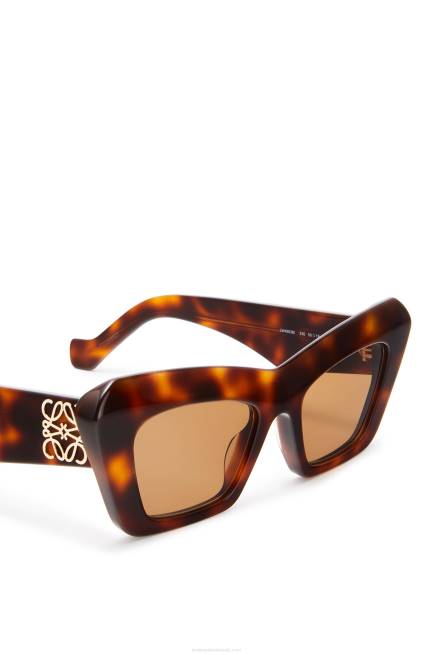 Brown Havana Cateye sunglasses in acetate Loewe 84PR1480 Women