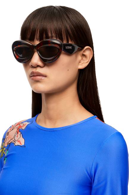 Havana Inflated cateye sunglasses in nylon Loewe 84PR1422 Women