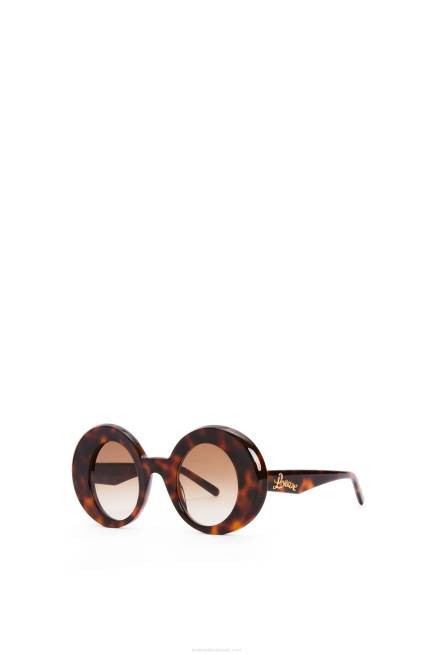Havana Oversized round sunglasses in acetate Loewe 84PR1492 Women