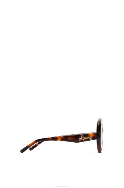 Havana Oversized round sunglasses in acetate Loewe 84PR1492 Women