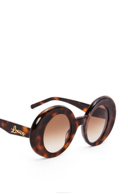 Havana Oversized round sunglasses in acetate Loewe 84PR1492 Women
