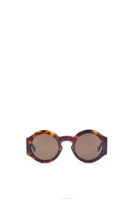 Shiny Classic Havana Curved sunglasses in acetate Loewe 84PR1444 Women