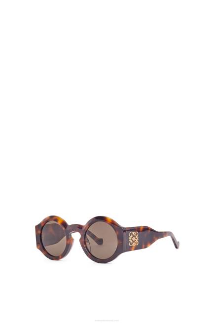 Shiny Classic Havana Curved sunglasses in acetate Loewe 84PR1444 Women