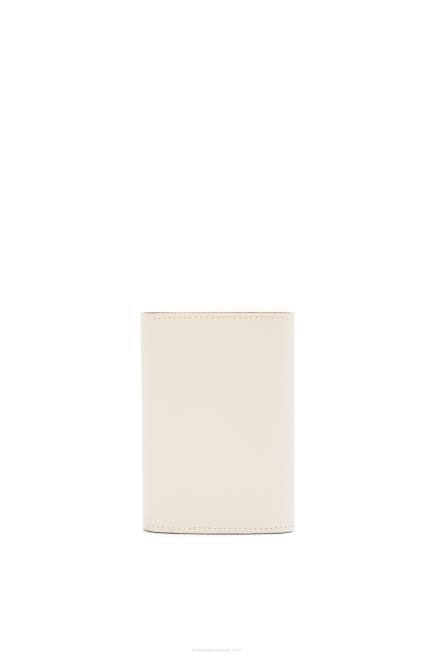 Light Ghost Anagram small vertical wallet in pebble grain calfskin Loewe 84PR1218 Women