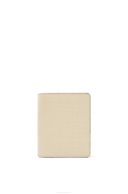 Light Oat Repeat compact zip wallet in embossed silk calfskin Loewe 84PR1272 Women