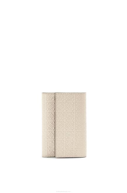 Light Oat Repeat small vertical wallet in embossed silk calfskin Loewe 84PR1273 Women