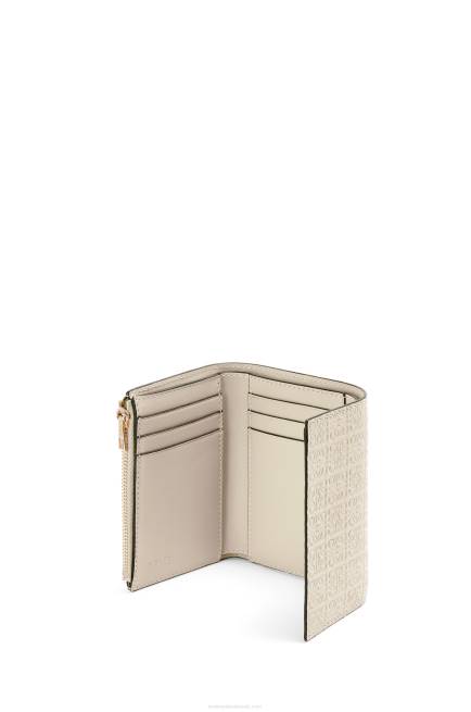 Light Oat Repeat small vertical wallet in embossed silk calfskin Loewe 84PR1273 Women