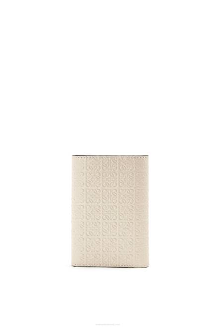 Light Oat Repeat small vertical wallet in embossed silk calfskin Loewe 84PR1273 Women