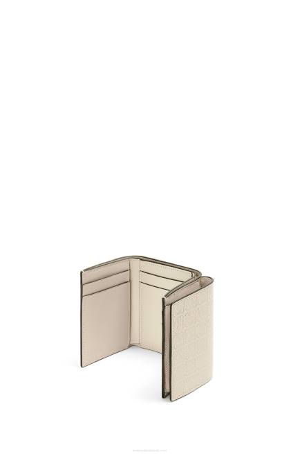 Light Oat Repeat trifold wallet in embossed silk calfskin Loewe 84PR1271 Women