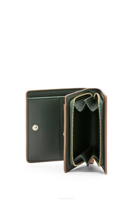 Warm Desert Frog compact zip wallet in classic calf Loewe 84PR1305 Women