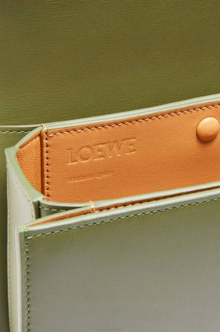 Avocado Green Small Goya bag in silk calfskin Loewe 84PR307 Women