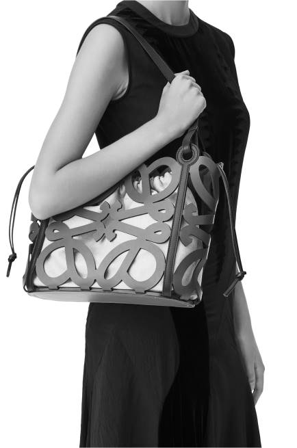 Soft White Small Anagram cut-out tote in box calfskin Loewe 84PR187 Women