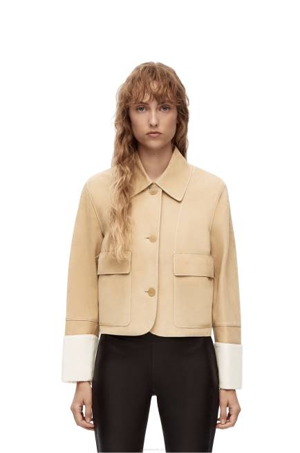 Gold Turn-up jacket in suede lambskin Loewe 84PR1150 Women