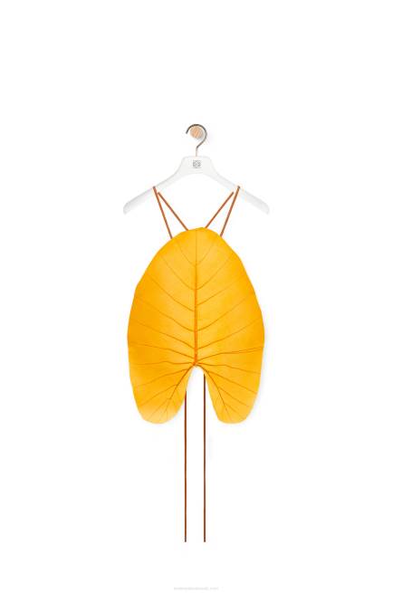 Bright Orange