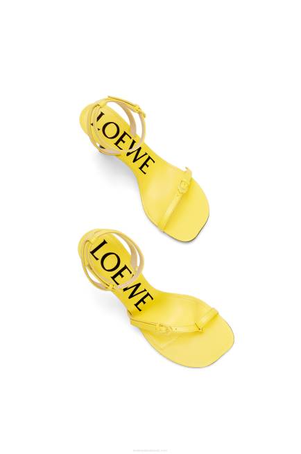 Acacia Yellow Petal stiletto sandal in lambskin Loewe 84PR678 Women