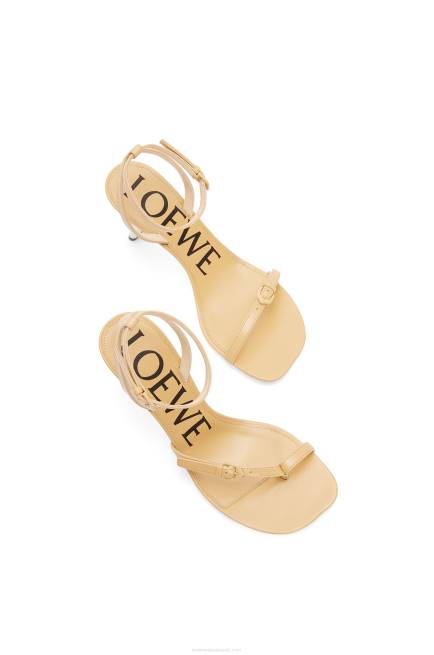 Medium Concealer Petal stiletto sandal in lambskin Loewe 84PR676 Women