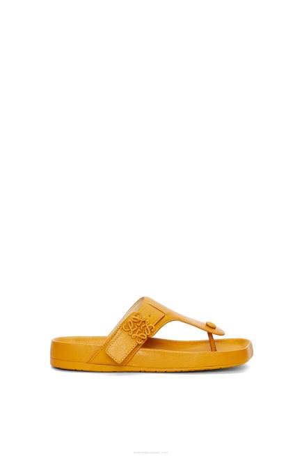 Ochre